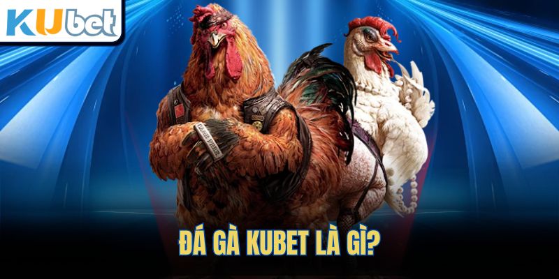 Đá gà KUBET là gì?