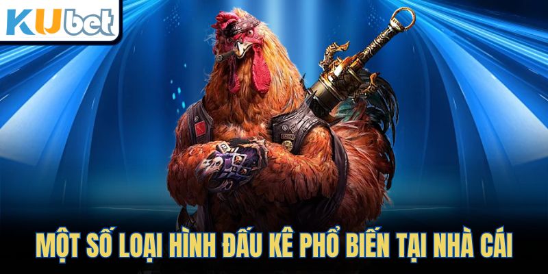 Một số loại hình đấu kê phổ biến tại nhà cái